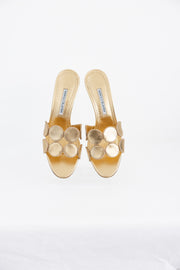 MANOLO BLAHNIK  HARIBALMU OS RIAL 050 GOLD