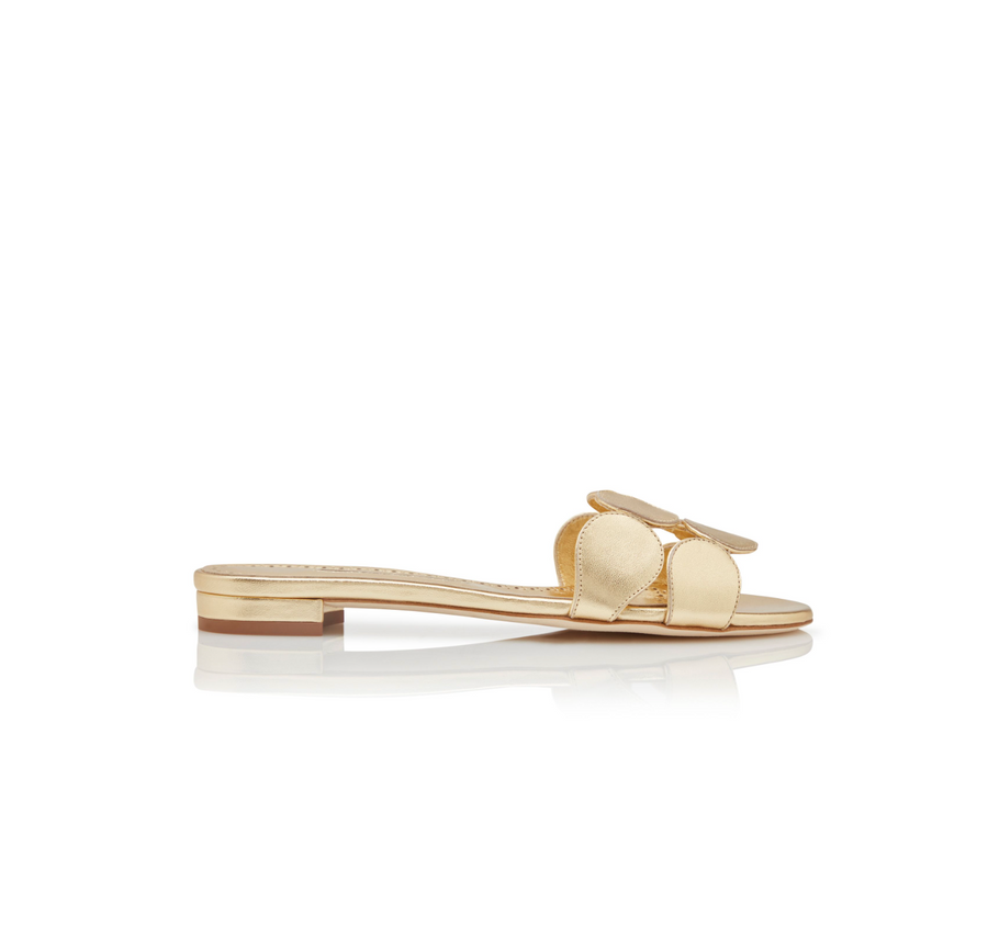 MANOLO BLAHNIK HARIBALMU NAPPA LEATHER FLAT - GOLD – Diane Firsten MANOLO BLAHNIK HARIBALMU NAPPA LEATHER FLAT - GOLD – Diane Firsten
